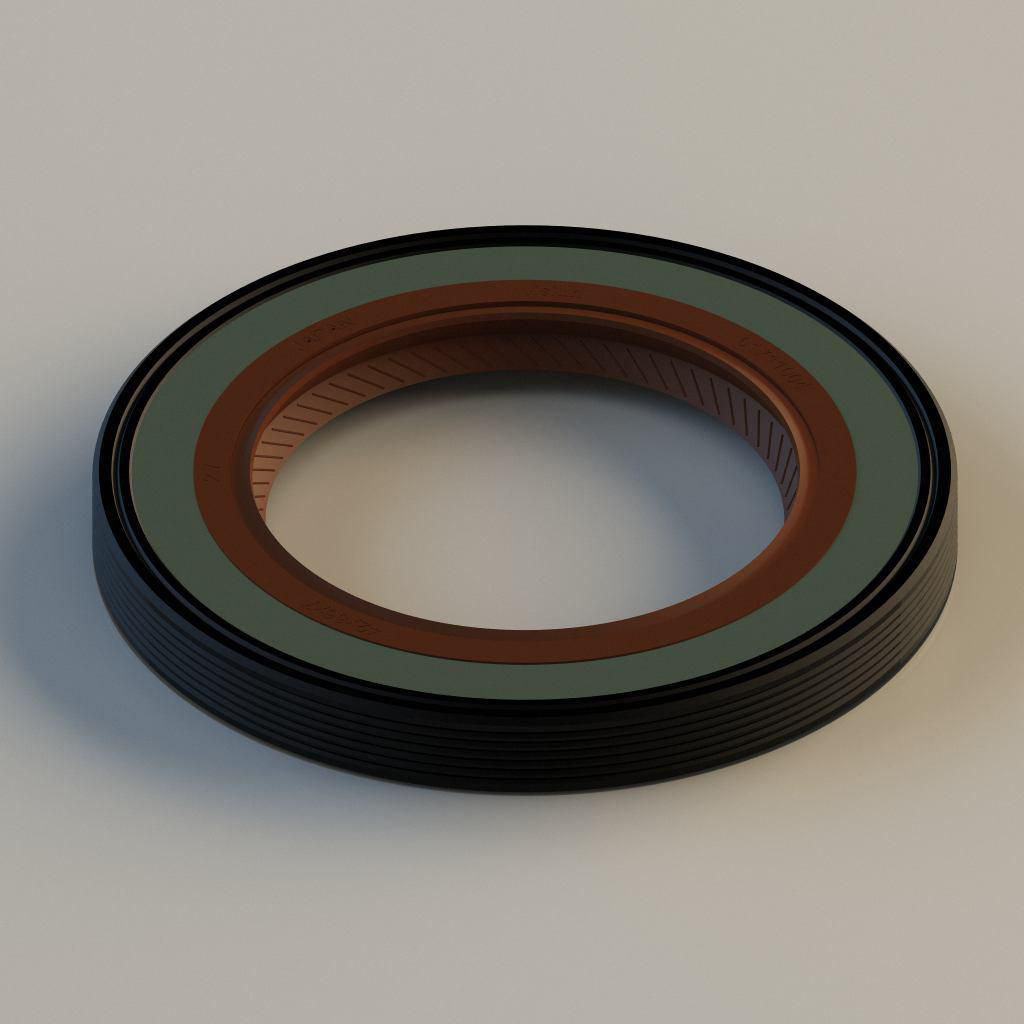 تصویر از کاسه نمد پلوس 405 - چپ بزرگ - VISIUN