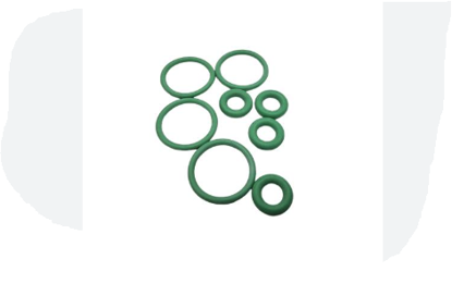 تصویر از اورینگ سوزن انژکتور 405 - VISIUN